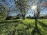 Hauptbild Seltenes Naturidyll nahe Lindlar; freistehendes EFH mit Bachlauf auf park�hnlicher Garten!