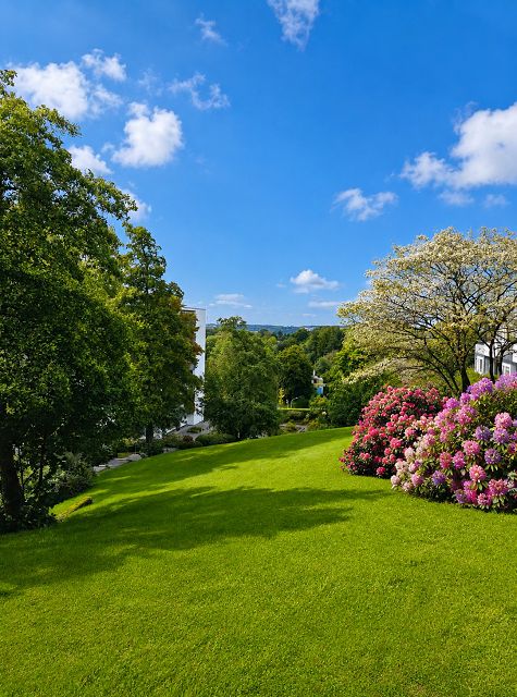 Blick in den Garten Wuppertal Etagenwohnung Jetzt kaufen - sp�ter einziehen, gut vermietete Wohnung mit Tiefgaragenstellplatz!